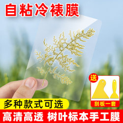 Cold Lamination Film Photo Protective Film Self-Adhesive Plastic Film Laser A6 Specimen Film Self-Sealing Leaf High-Gloss Lamination Film A4 Plastic Film 6inch Handmade Plant Bookmark Cold Lamination Film