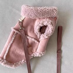 Dog Clothing Small Dog Warm Versatile Suede Traction Vest Cat Jacket Thickened Teddy Pet Clothes