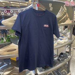 China Li Ning 2025 Spring and Summer Men's and Women's Sports and Leisure T-Shirts Short-Sleeved Cultural Shirts Ahsv788-299