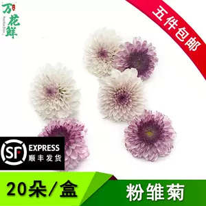 紫小菊花- Top 100件紫小菊花- 2024年5月更新- Taobao