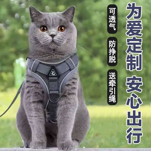 Cat traction rope for anti-breaking and going out special vest-style ...