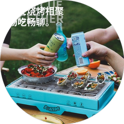 Disposable outdoor barbecue grill with charcoal