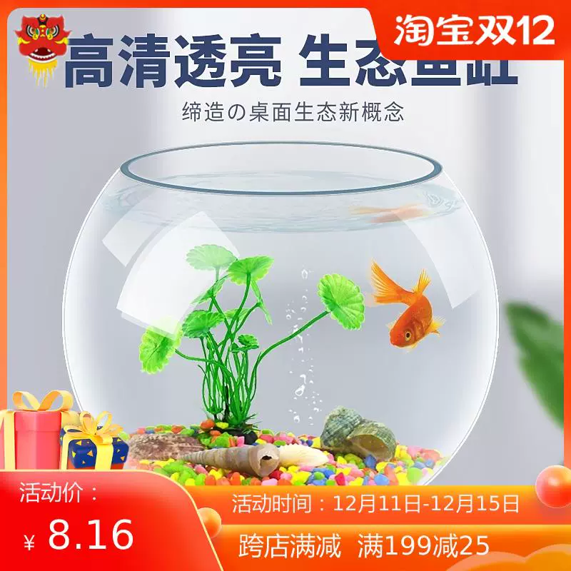 金鱼生态瓶鱼虾螺鱼缸diy懒人观赏微观生态鱼缸家庭台式