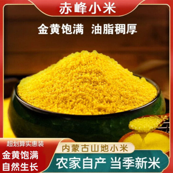 
Inner Mongolia Chifeng 2025 yellow millet golden seedlings millet specialty grains millet 500g millet porridge and grains