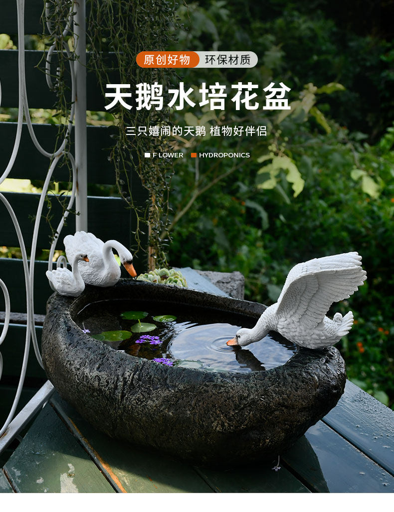 레진 화분 - 코퍼 코인 풀, 아이비, 스파이더 플랜트 - 대구경