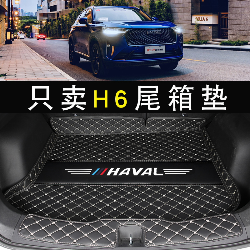 2021 3 HAVAL H6 Ʈũ Ʈ Ư 强 Ϲ H6  м  ī Ʈũ Ʈ-