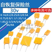 Ổ cắm cầu chì tự phục hồi 30V 0,1 0,2 0,25 0,75 0,9 1,35 1,6 2,5 4 8 A