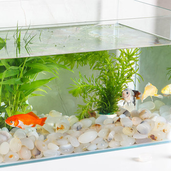 Nanjing Yuhua Stone Rough Ragstone Natural Cobliite Fish Tank Little Stone Light Satstone Mochonal Horticulture Create View Panel
