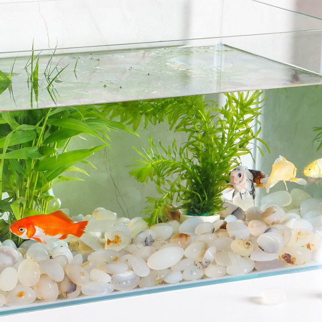 Nanjing Yuhua Stone Rough Ragstone Natural Cobliite Fish Tank Little Stone Light Satstone Mochonal Horticulture Create View Panel
