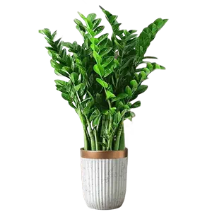 round large flowerpot Latest Best Selling Praise Recommendation