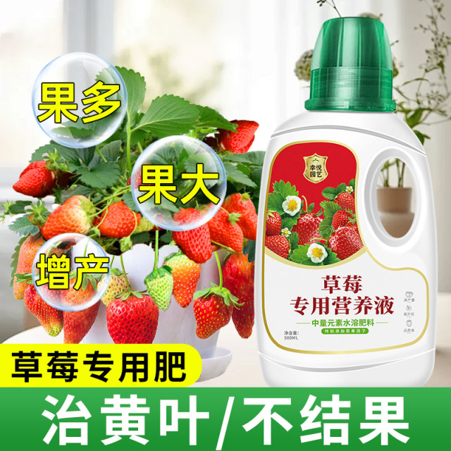Strawberry Nutrition Solution Strawberry Fertilizer Special Fertilizer Organic Fertilizer Pot Nutritional Fertilizer Water-soluble Fertilizer Flowering and Fertilizer