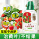 Strawberry Nutrition Solution Strawberry Fertilizer Special Fertilizer Organic Fertilizer Pot Nutritional Fertilizer Water-soluble Fertilizer Flowering and Fertilizer