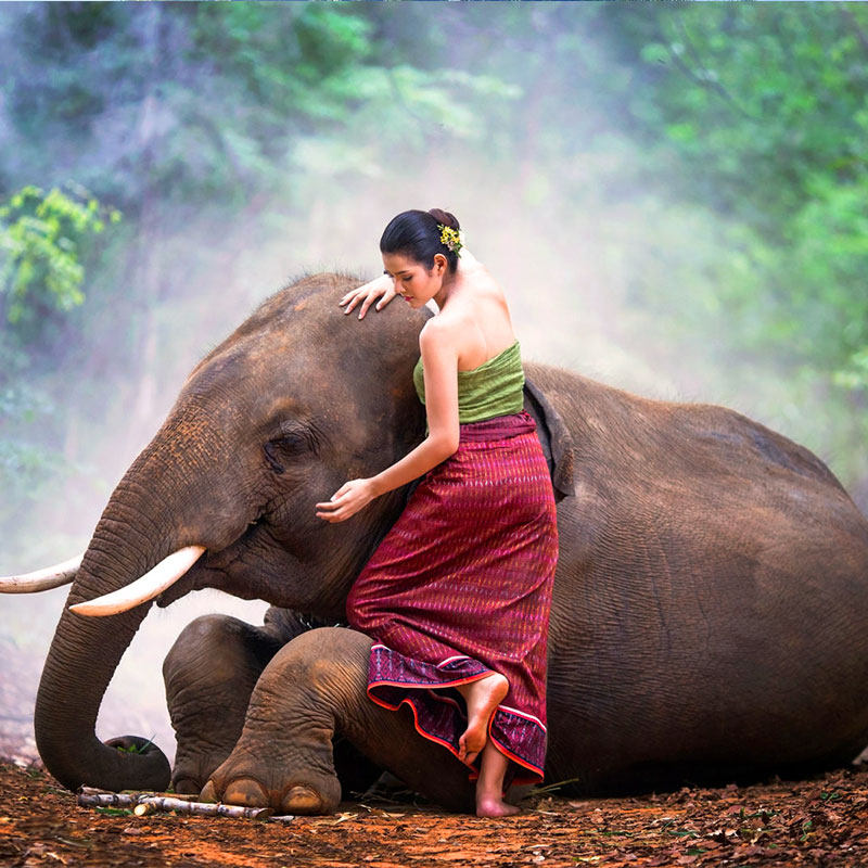 一家一团连住告庄泳池酒店 |云南旅游西双版纳旅游4天3晚私家小团