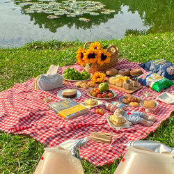 Red Plaid Picnic Mat Spring Outing Mat ins Style Outdoor Picnic Lawn Picnic Cloth Park Photo Background Cloth