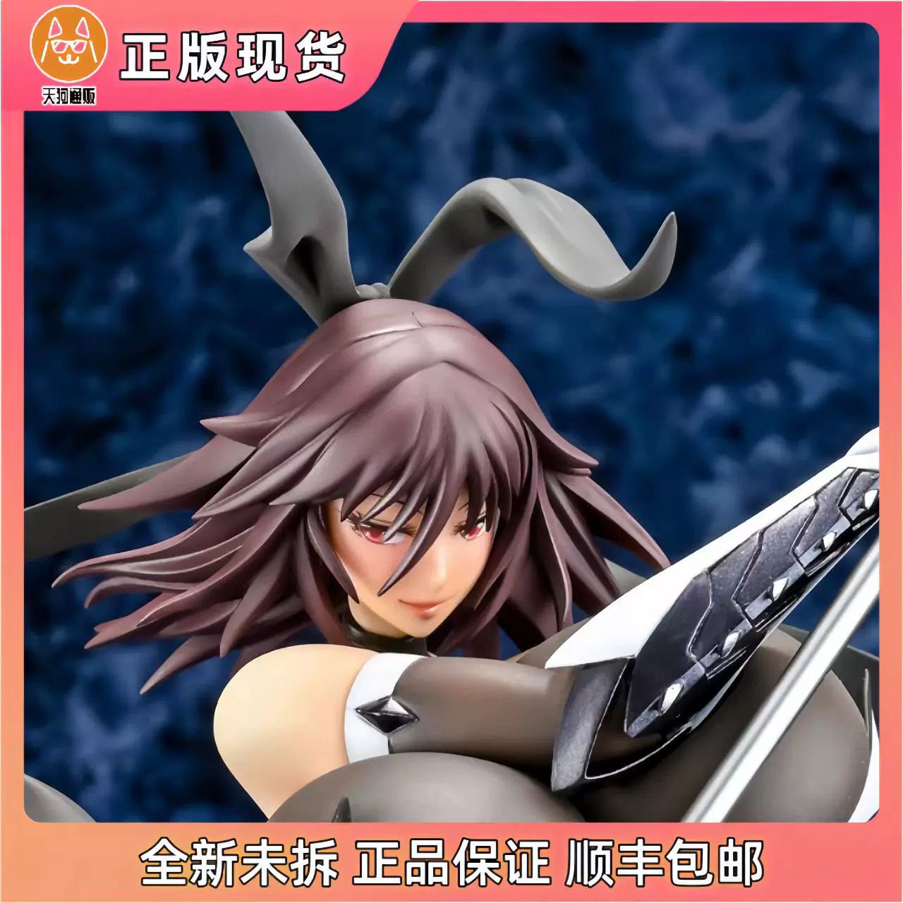 水城不知火　水着　ガレージキット　レジンキット 水城不知火 水着 ガレージキット レジンキット 対魔忍ユキカゼ