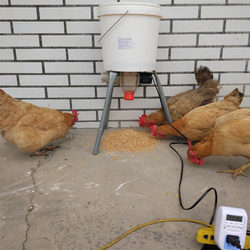 Fully Automatic Wifi Feeding Device for Chickens, Ducks, Geese, Pigeons, Dogs, and Cats, with Timed and Quantitative Remote Feeding, a Magical Tool for Raising Chickens
