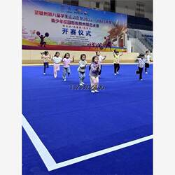 Artistic Gymnastics Mat, Cheerleading Roll Mat, Dance Technique Tumbling Carpet, Martial Arts Routine Competition Aerobics Floor Mat