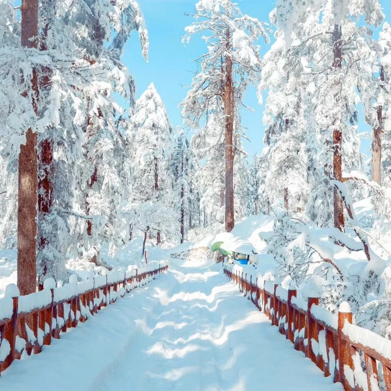 西岭雪山瓦屋山一日游成都川西四姑娘山毕棚沟1日游8人团理小路