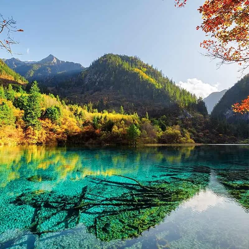 2-8人小团九寨沟纯玩3日游四姑娘山黄龙跟团都江堰毕棚沟达古冰川