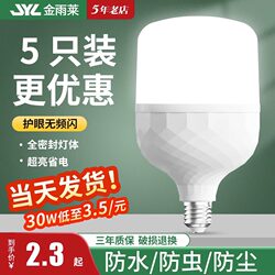 Super Bright Led Light Bulb E27 Screw Base Household Eye Protection Energy-Saving Lamp White Light High-Power Factory Lighting Threaded Bulb