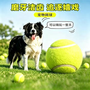 狗狗玩具球网球解闷神器宠物训练边牧金毛柯基耐咬遛小狗磨牙橡胶