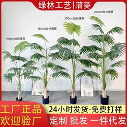 Nordic tropical California Palm Smooth Smooth Smooth Smooth Smooth Smooth Smooth Smooth Smooth Smooth Smooth Smooth Smooth Smooth Smooth Smooth Smooth Smooth Smooth Smooth Smooth Smooth Smooth Smooth Smooth Smooth Smooth Smooth Smooth Smooth Smooth Smooth Smooth Smooth Smooth Smooth Smooth Smooth Smooth Smooth Smooth Smooth Smooth Smooth Smooth Smooth Smooth Smooth Smooth Smooth Smooth Smooth Smooth Smooth Smooth Smooth Smooth Smooth Smooth Smooth Smooth Smooth