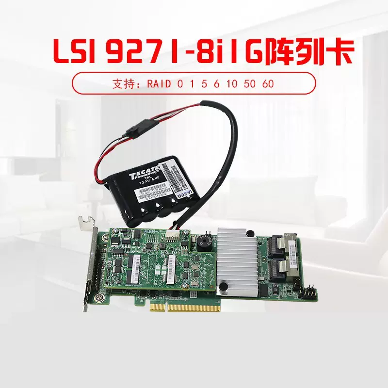 LSI LSI00199-