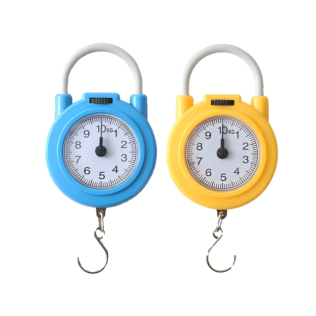 Spring scale portable smart portable high precision electronic scale
