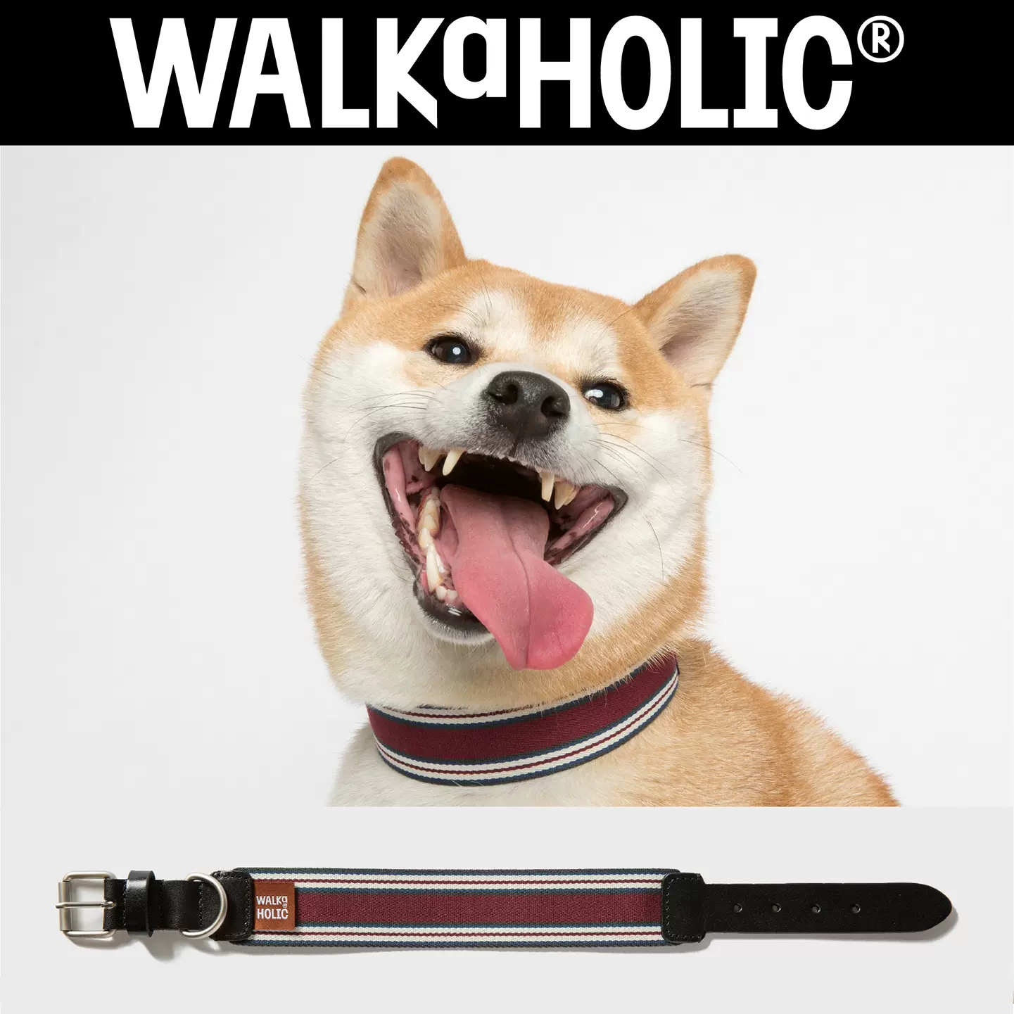 Walkaholic宠物项圈狗狗脖套颈圈超宽中大型犬真皮进口