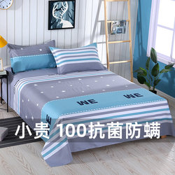 Thickened Bed Sheet Single Piece Summer Double Bed 1.5m Antibacterial Anti-Mite Pillowcase Single Dormitory Sheet Home Use 2-3 Piece Set
