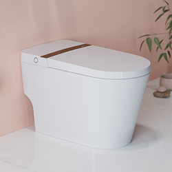 Huida Smart Toilet All-In-One with No Water Pressure Limit, Automatic Flushing and Deodorization, Small-Sized Toilet Hde2001T