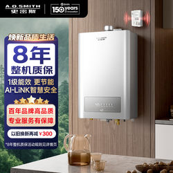 Smith Ai-Link Level 1 Energy Efficiency Constant Temperature Gas Water Heater Jslq28-Acewi