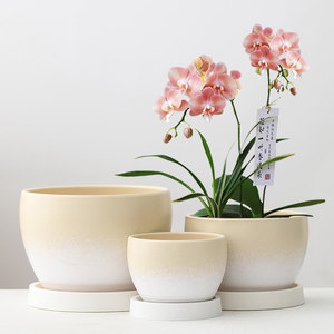 
Ceramic flowerpots for household tulips, earth-cultured green radish, Phalaenopsis orchids, large succulent pots, large diameter, special price, clearance with holder