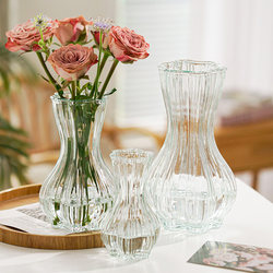 Creative and Minimalist Glass Vase, Trendy and High-End, Suitable for Fresh Flowers, Roses, Plant Arrangements, Table and Living Room Decoration