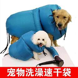 Pet Hair Dryer Golden Retriever Hair Dryer