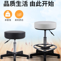 Bar Stool with Adjustable Height, Swivel, Leather Backrest, Round Stool for Laboratory, Hospital, Hairdressing, Tattoo, Makeup, and Other Crafts, with Wheels