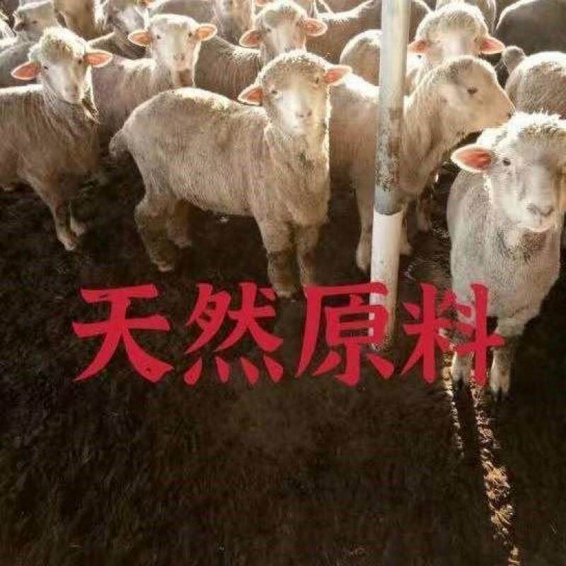 야채와 꽃 재배를 위한 순수 양똥 유기비료, 채소밭 화분 일반 복합영양토양 농가비료-