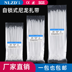 Nylon Cable Ties 3*4*5*8 Series Multi-Specification Plastic Cable Ties Nylon Binding Ties 100-Pack Factory Direct Sale