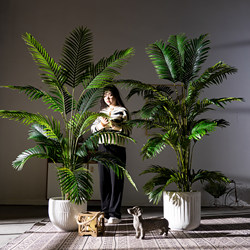 Large High-End Light Luxury Artificial Green Plant, Simulated Greenery, Faux Tree, Phoenix Tail Bamboo Plant, Indoor Tropical Landscaping Decoration