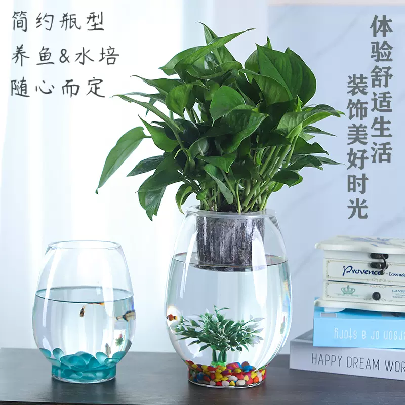 水培容器玻璃透明水培花瓶厚水培植物花瓶水培黃金葛花盆桌面辦公室 Taobao