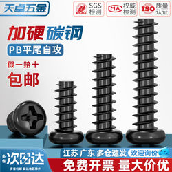 Pb Hardened Iron Carbon Steel Black Round Head Phillips Flat Tail Self-Tapping Screws Pan Head Small Screws M1M1.2M2M3M4Mm