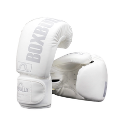 BOXBULLY Professional Boxing Gloves for Children