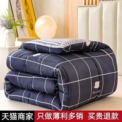 Winter Quilt Core, Thickened Cotton Quilt, Warm Bedding, Space Quilt for Single and Double Beds, Student Dormitory Cotton Quilt, Air Conditioning Quilt, Spring and Autumn Quilt