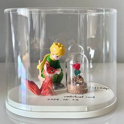 Baby Souvenir Fetal Hair Self-Made Deciduous Tooth Umbilical Cord Storage Bottle Little Prince Rose Lanugo Collection Box