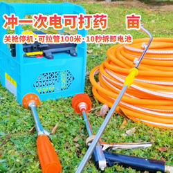 Electric Sprayer, Agricultural High-Pressure Sprayer, Portable Rechargeable Fruit Tree Water Pump, Car Wash Machine, Diaphragm Double-Pump Machine