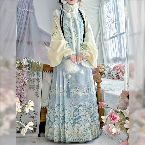 
Jade Orchid_Linglan Biemie Original Ming Dynasty Hanfu Women's 2025 New Winter Thickened Bijia Horse Face Skirt Ancient Costume