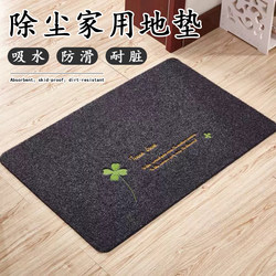 Door Mat, Entrance Mat, Kitchen and Bathroom Absorbent Foot Mat, Bathroom Non-Slip Household Bedroom Door Carpet