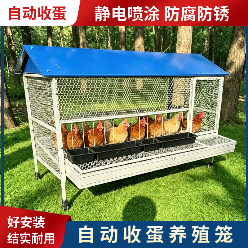 鼯鼠能养吗？-淘宝逛一逛