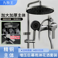 Jiumuwang All-Copper Shower Set for Home Bathroom Rain Shower Head Bathroom Pressurized Hot and Cold Shower Fixture Bathroom Accessories