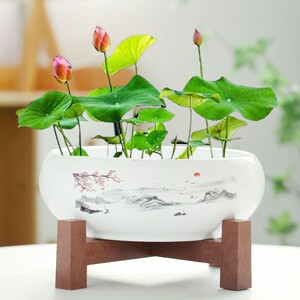 
Narcissus flower pot ceramic copper money grass hydroponic water lily bowl lotus money grass special basin tank without holes large with base living room